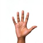 Kindle eBook Sign Language for Disabilities Enhanced Typesetting XRay-0
