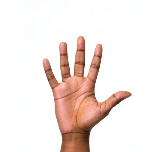 Kindle eBook Sign Language for Disabilities Enhanced Typesetting XRay-0