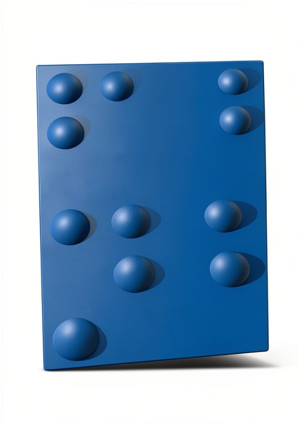 Remedia Special Education eBook Disabilities 2nd Print Replica-0